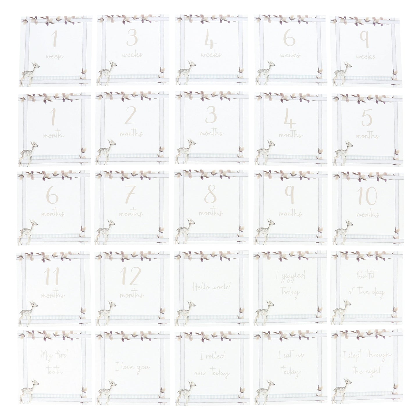 Infant Milestone + Memory Cards (0-12 months)