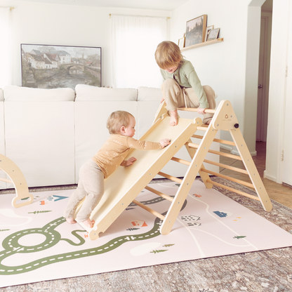 Tiny Land® 5-in-1 Montessori Climbing Set