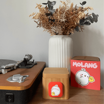 lovebox molang connected digital picture frame