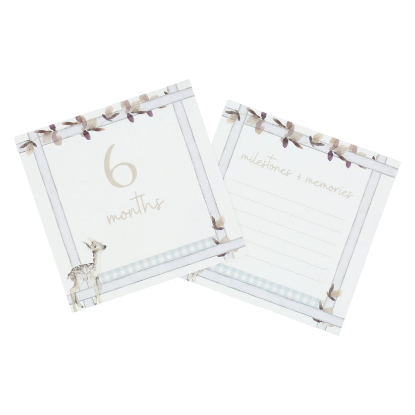 Infant Milestone + Memory Cards (0-12 months) – Lovebox America