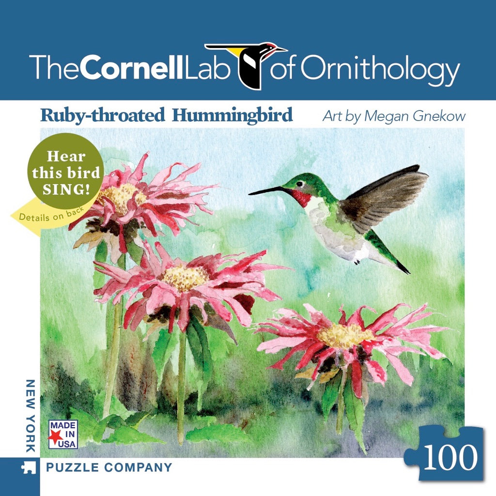 Ruby-throated Hummingbird Mini