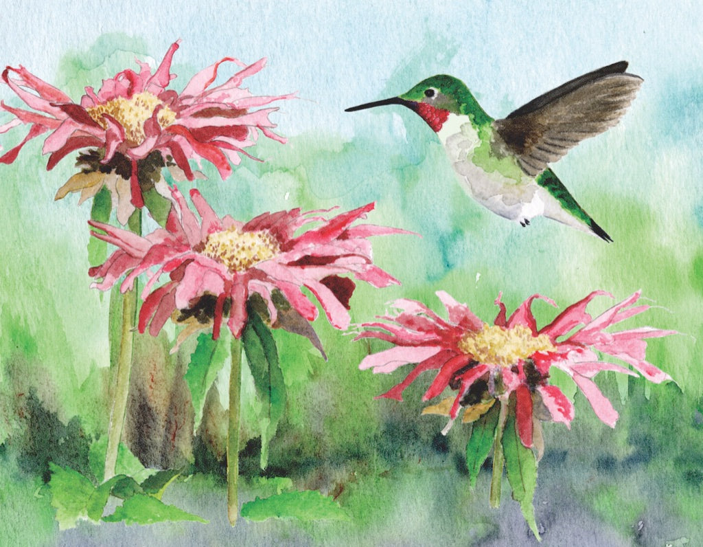 Ruby-throated Hummingbird Mini