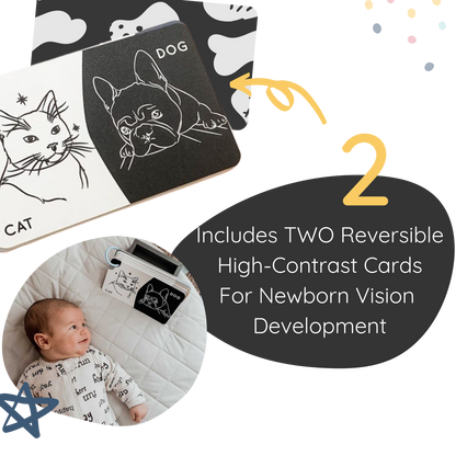 Curious Baby™ Activity Cards